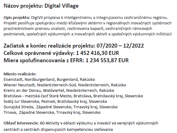 Digital Village