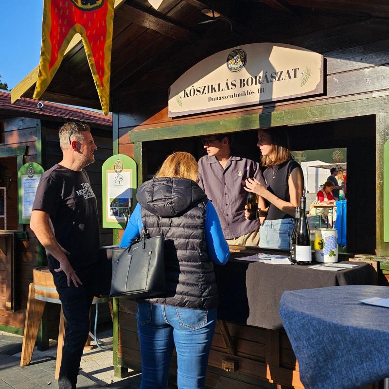 Csallóközi Vásár 2024, Fotó: Rózsár Vince