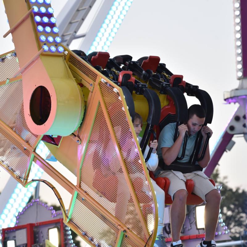 Csallóközi Vásár 2024, Fotó: Rózsár Vince