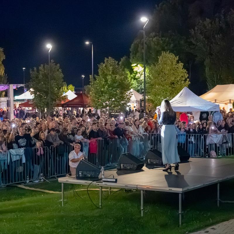 Csallóközi Vásár 2025, Fotó: Rózsár Vince