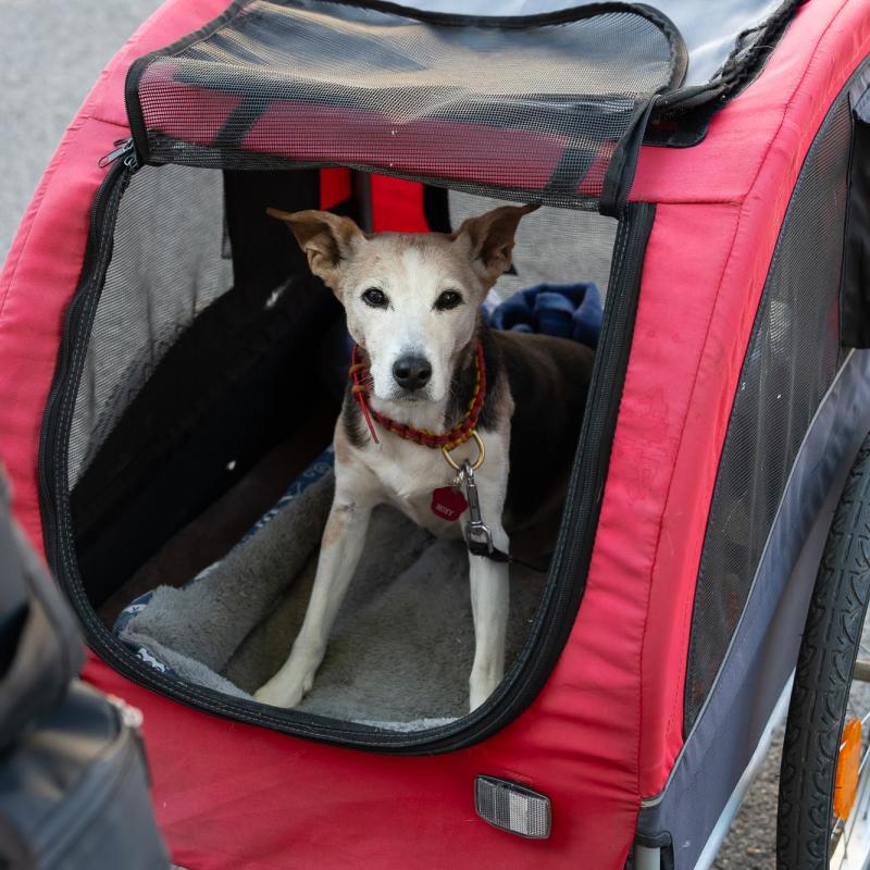 Dunaszerdahelyre érkezett Győr társadalmi nagykövete