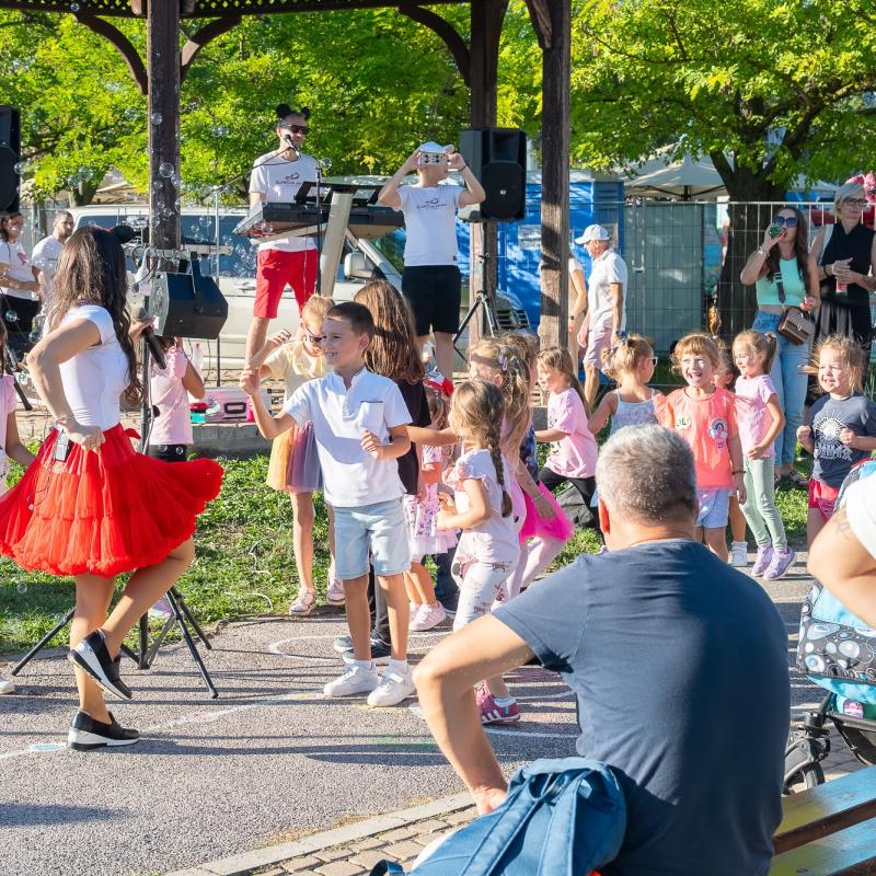 Csallóközi Vásár 2025, Fotó: Rózsár Vince