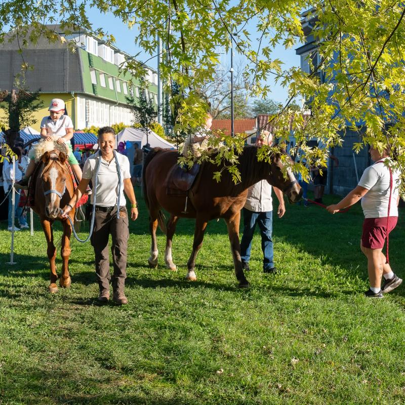 Žitnoostrovský jarmok 2025, Foto: Vince Rózsár