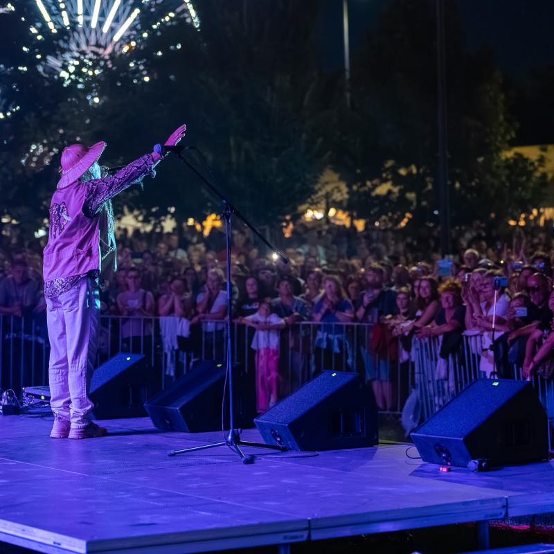 Csallóközi Vásár 2025, Fotó: Rózsár Vince