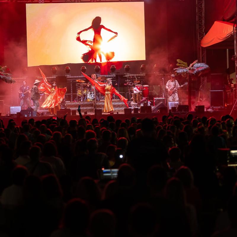 Csallóközi Vásár 2025, Fotó: Rózsár Vince