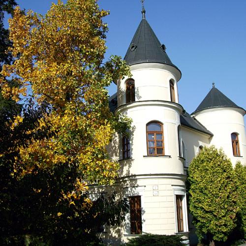 Vermesova vila