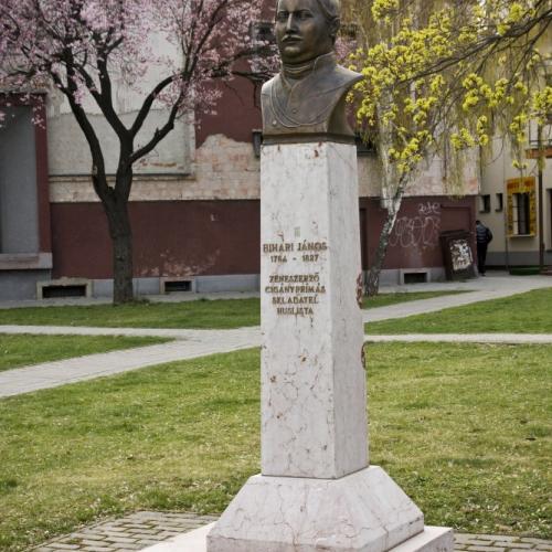 János Bihari