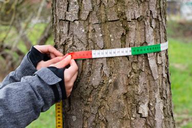 Oznámenie o začatí konania a nariadenie ústneho pojednávania spojeného s mnou obhliadkou