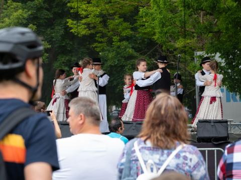 foto: Vince Rózsár