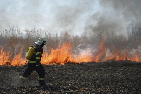 Tűzveszély kialakulása tavaszi és nyári időszakban
