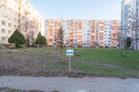 Az Újfalu lakótelep parkosítása
