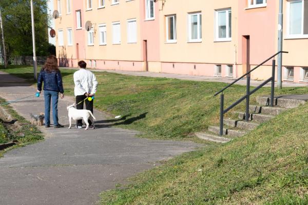 Kutyagazdák figyelem! A városi rendőrség jogosult ellenőrizni a kutyatulajdonosokat