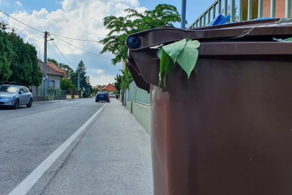 A megszokottól korábban kezdődik a biohulladék gyűjtése