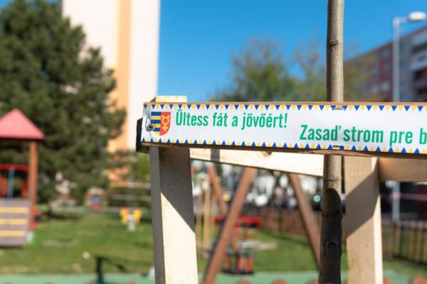 Ültess fát a jövőnek!