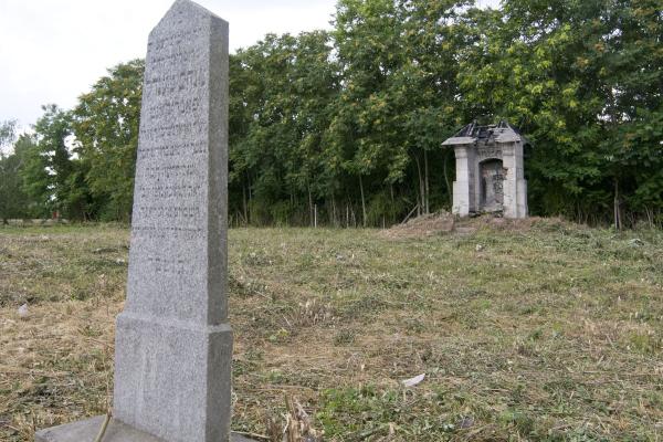 Felhívás