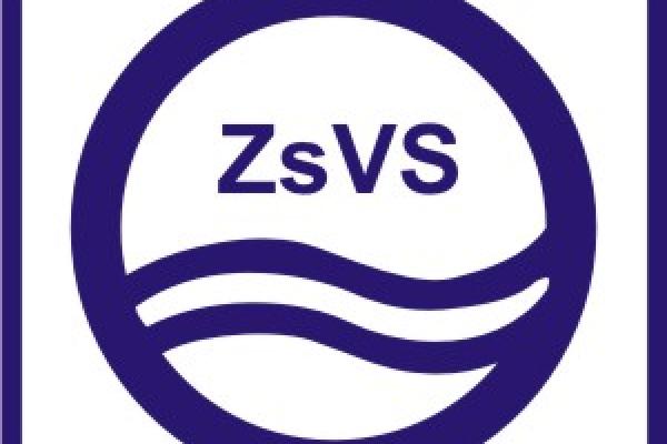 Vezérigazgatói közkegyelem
